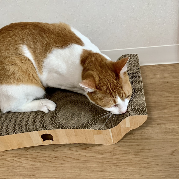 ちびちゃん 
