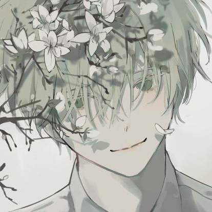 朱雨