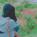 バニー 