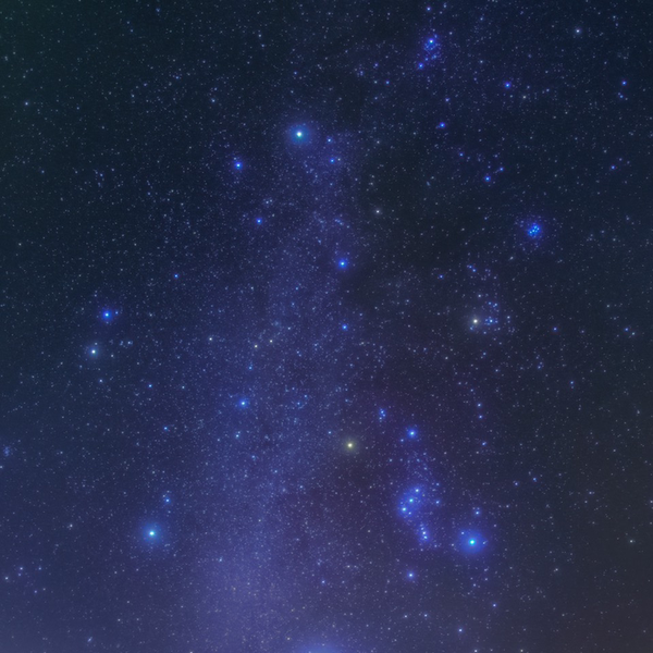 バスター