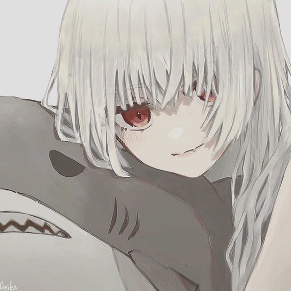 🦈
