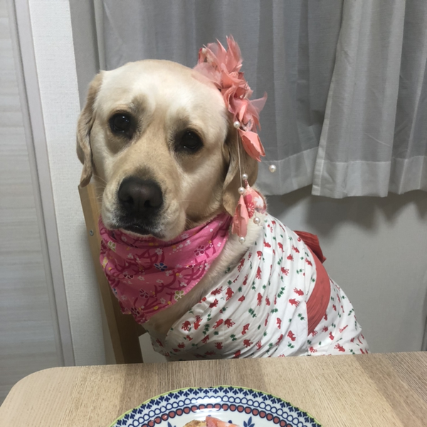 みっちー