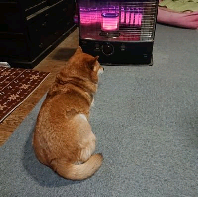 ぽち