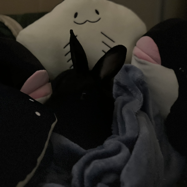 zyunn