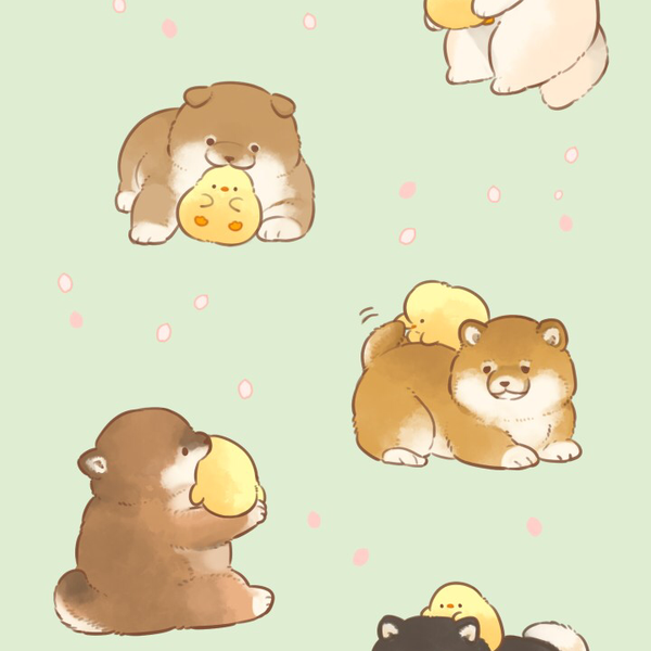 ひよこ( ᵕᴗᵕ )