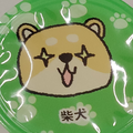 歌舞伎町の女王    