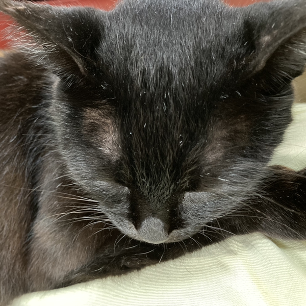 ＹＯＵ