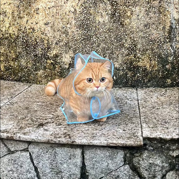 ヒ❕