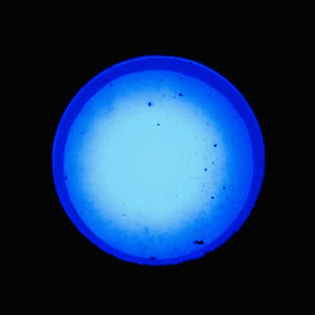 geijyutsukakidori