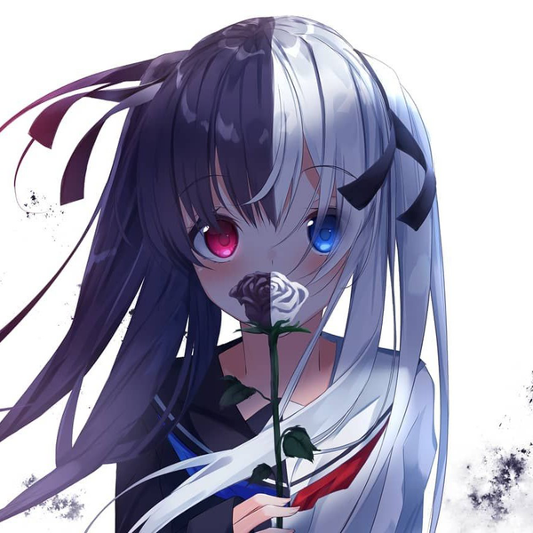 わんわん  愛桜