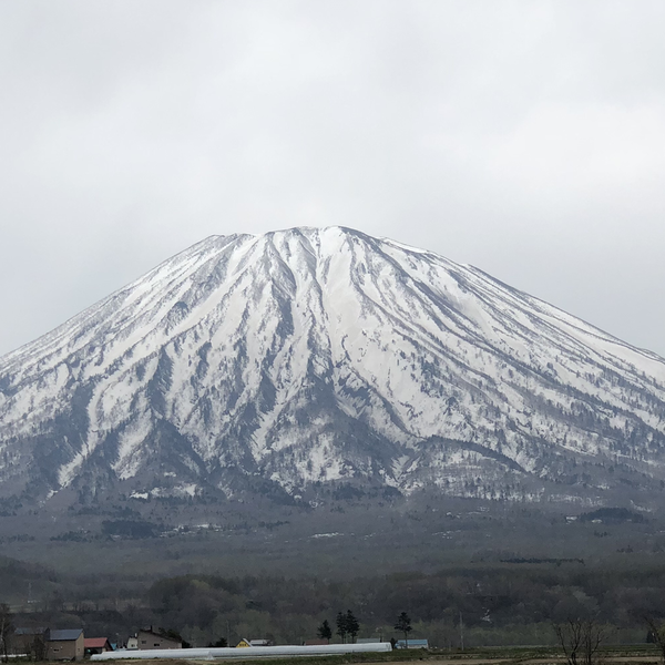 koharu