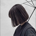 ライオン 