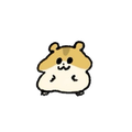 みむかゥわナイストライ