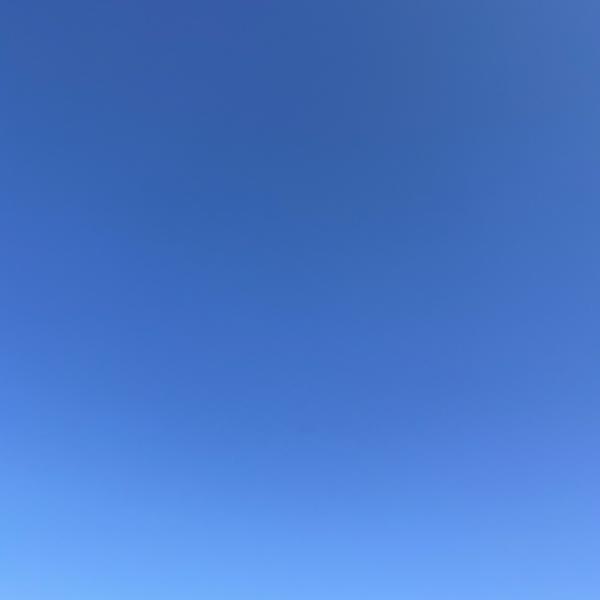 じだらっかー