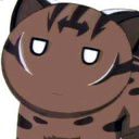 ねここねこ
