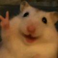 シャンティ コラボ済