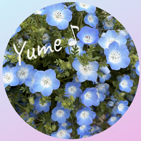 Yumecco ◌*⃝̥◍🥝➰