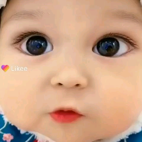 Ajiz Ali Ajiz Ali