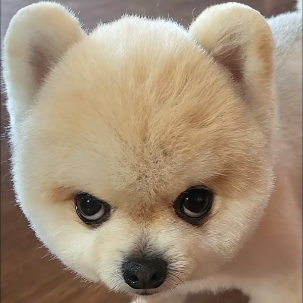 すたび君やでででででで🫵🏾