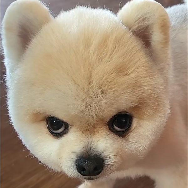 すたび君やでででででで🫵🏾