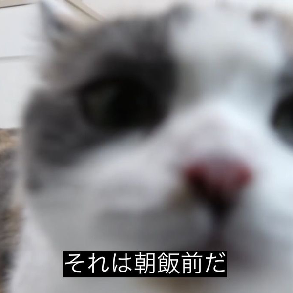 おさび