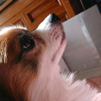 バクにぃ