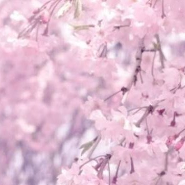花🌸