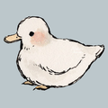 こぐまのパン屋さん。　コラボ済