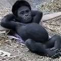 残酷な天使のテーゼ コラボ用