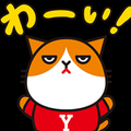 靴紐／高橋優