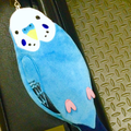ハナミズキ