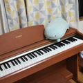 愛の賞味期限 acoustic cover.