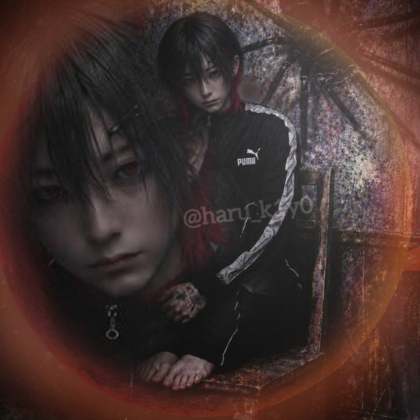 🕷️🕸️