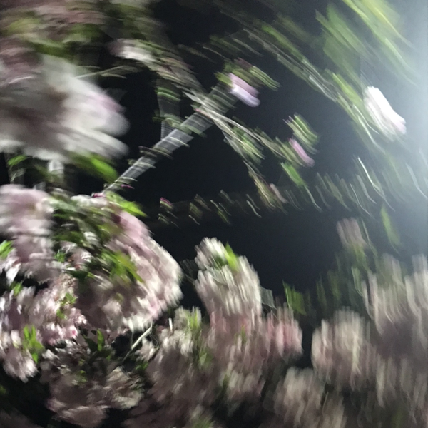 まりp