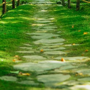 🍀またいつか🍀
