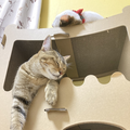 【エアハモ】白日
