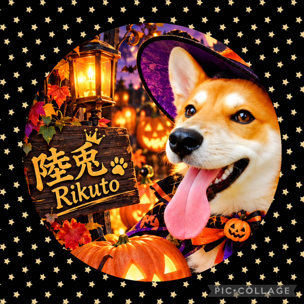 陸兎🐶コメント・返信ちょみっと遅れるでござる