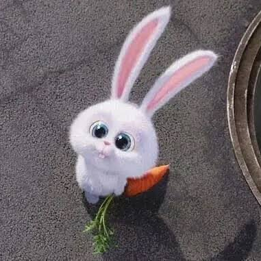 痔瘻