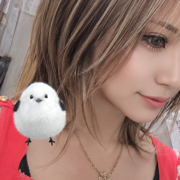 しーちゃん🌈🌹⎛˶• ▴ • ˶ ⎞♪⎛˶• ▴ • ˶ ⎞💬
