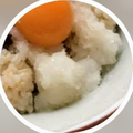 さくら 独唱 