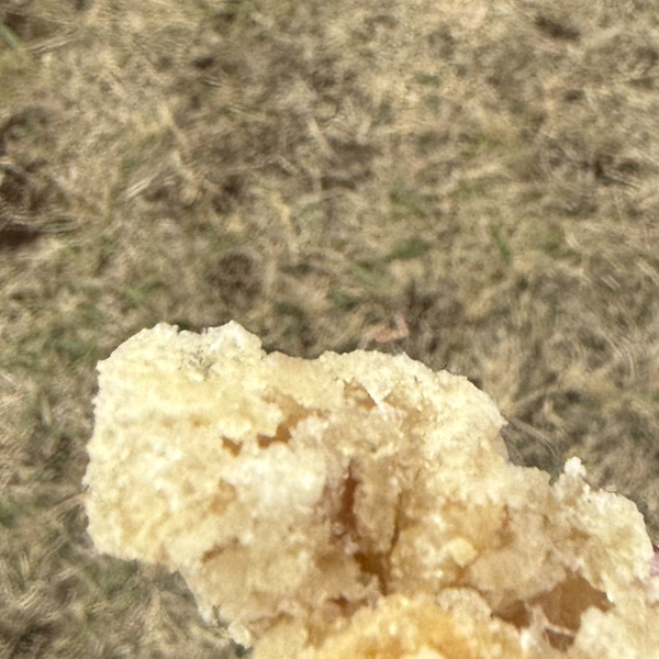 🥔