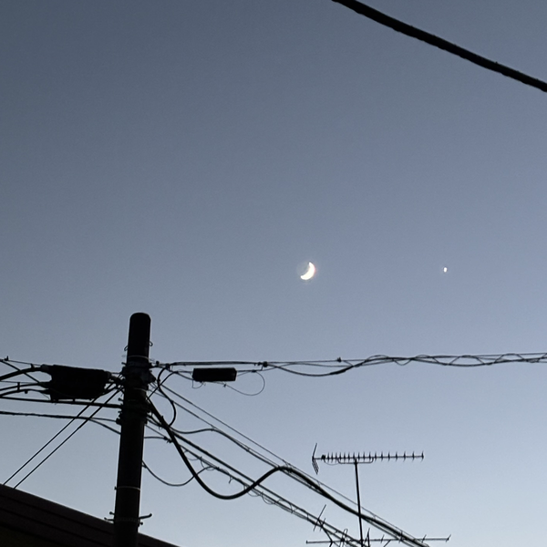 ︎︎すう