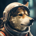 世界中の誰よりきっと