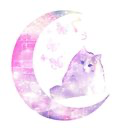 くぅ🌙