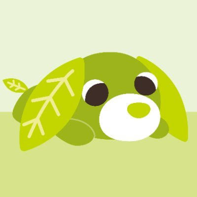 茶犬