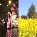 恋（夫婦コラボver.）