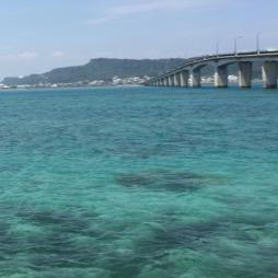 沖