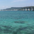 空も飛べるはず