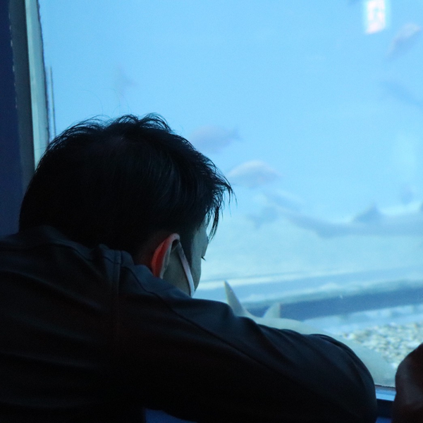 琥弥亞＠超不定期更新です:( ;´꒳`;)
