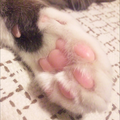 上を向いて歩こう